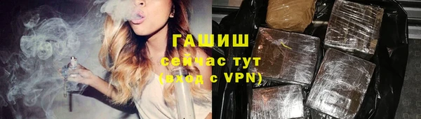 шишки Горняк