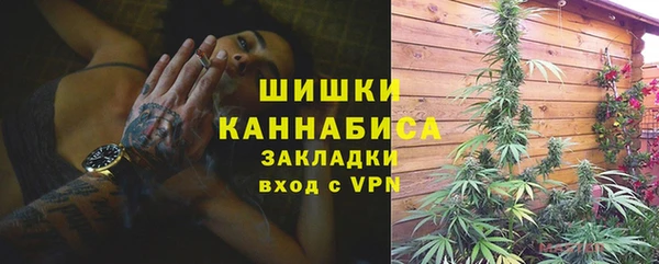 стаф Вязники